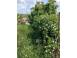 Casa de vanzare dezmir 925874 poza 7